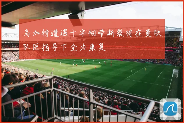 乌加特遭遇十字韧带断裂将在曼联队医指导下全力康复