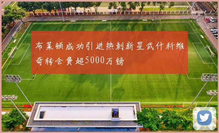 布莱顿成功引进热刺新星武什科维奇转会费超5000万镑