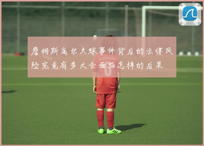 詹姆斯高尔夫球事件背后的法律风险究竟有多大会面临怎样的后果